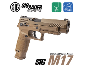 SIG M17